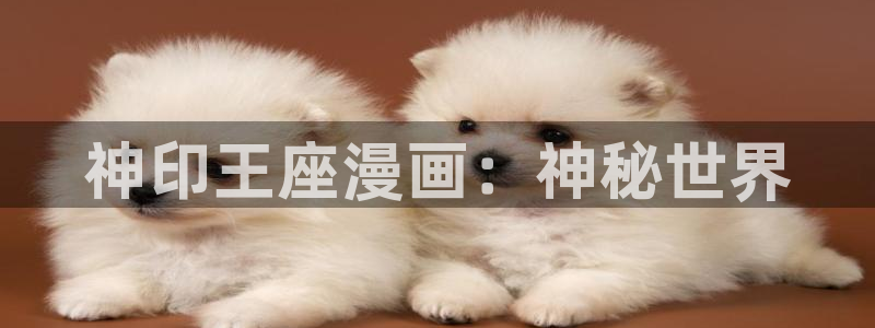 汗汗漫画韩漫免费看：神印王座漫画：神秘世界