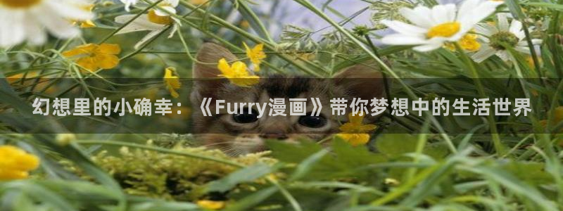 汗汗漫画歪歪：幻想里的小确幸：《Furry漫画》带你梦想中的生活世界