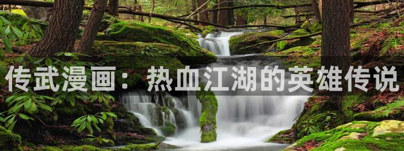韩国歪歪汗汗漫画：传武漫画：热血江湖的英雄传说