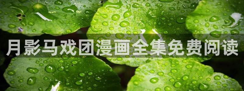 好看的韩漫汗汗漫画：月影马戏团漫画全集免费阅读