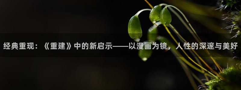 汗汗漫画黄：经典重现：《重建》中的新启示——以漫画为镜，人性的深邃与美好