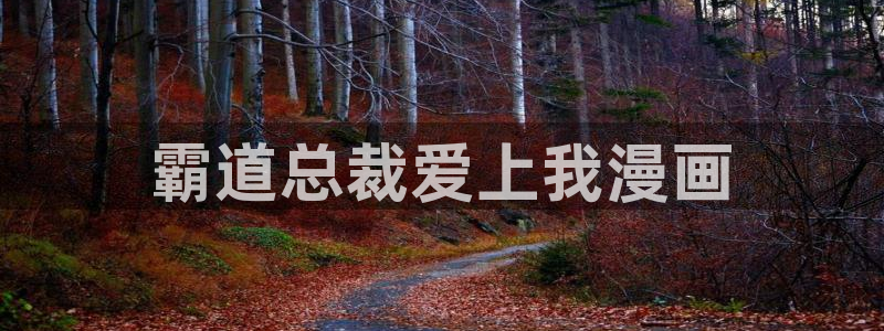 汗汗漫画韩漫免费观看：霸道总裁爱上我漫画
