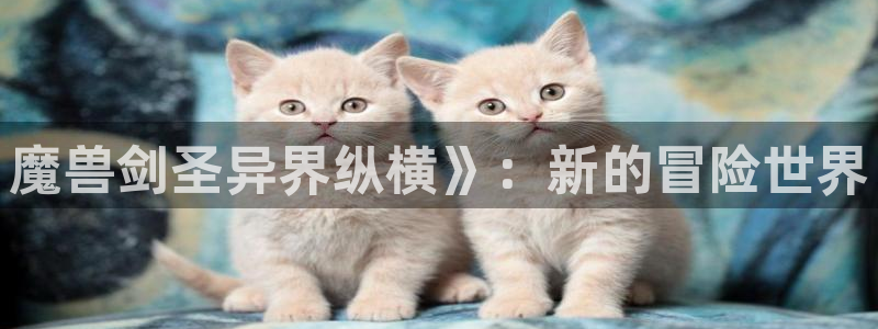 汗汗漫画首页在线：魔兽剑圣异界纵横》：新的冒险世界
