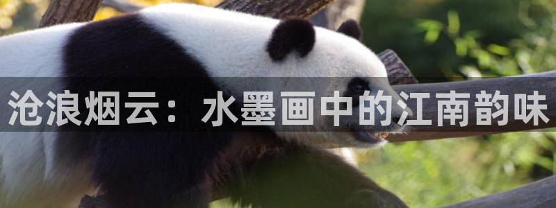 羞羞汗汗漫画在线：沧浪烟云：水墨画中的江南韵味