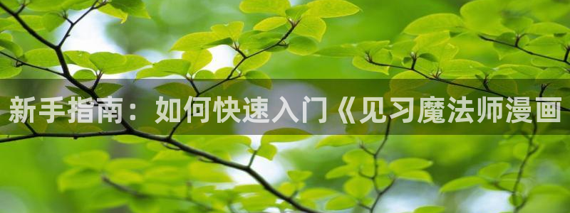 汗汗漫画阅读：新手指南：如何快速入门《见习魔法师漫画