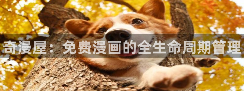 汗汗漫画大全首页