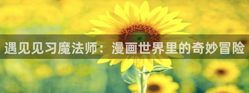 私密教学汗汗漫画：遇见见习魔法师：漫画世界里的奇妙冒险