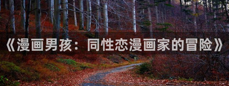 汗汗漫画在线观看视频：《漫画男孩：同性恋漫画家的冒险》